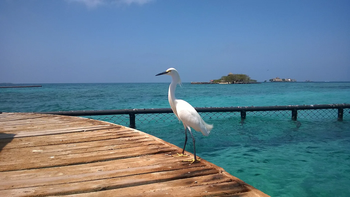 Islas del Rosario