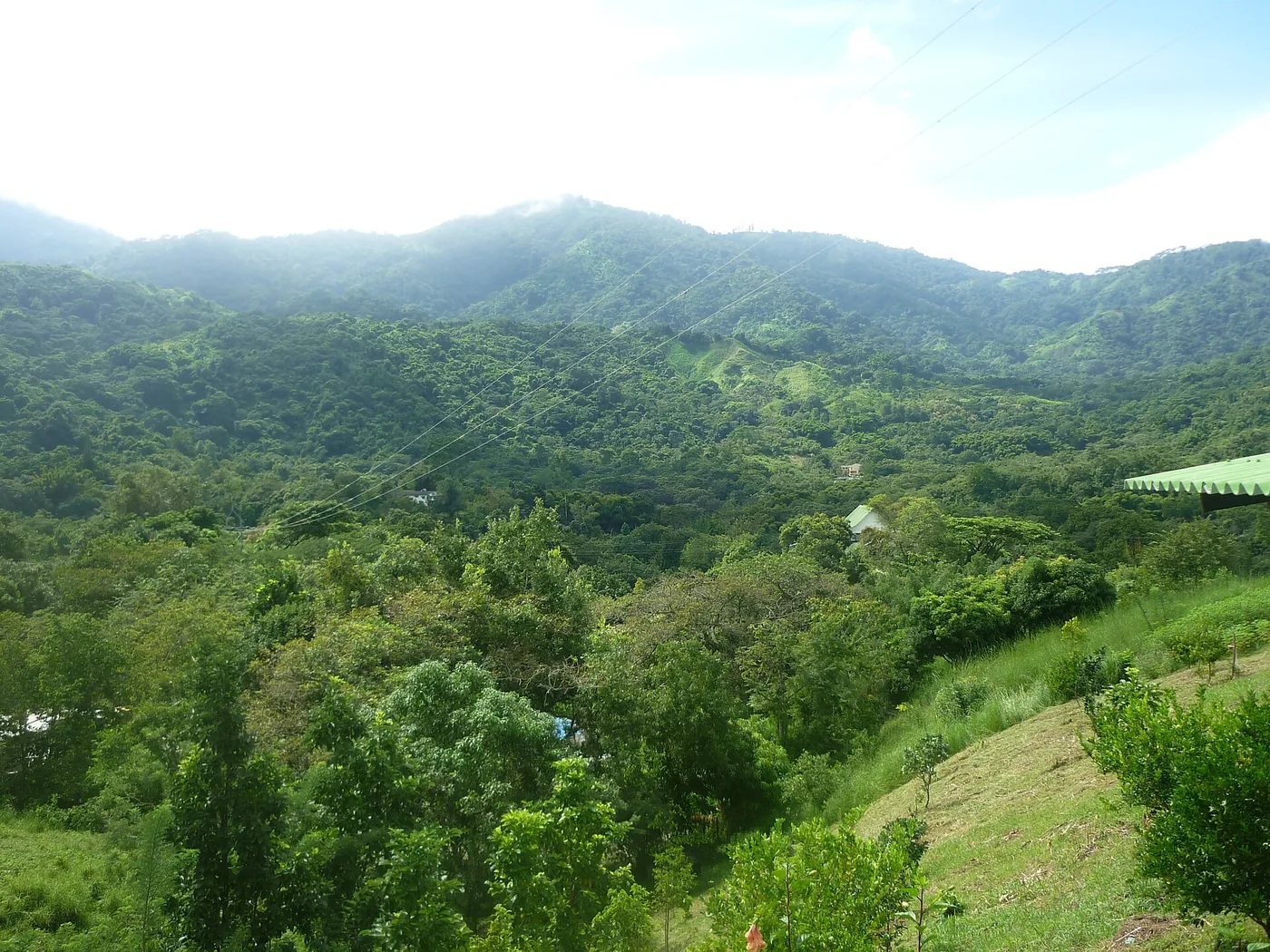 Minca