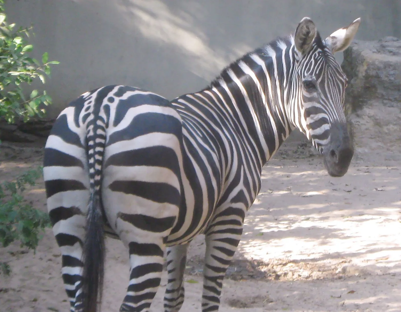 Zoológico de Barranquilla